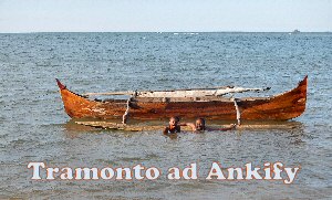 Ankify